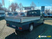Opel VIVARO CASSONATO VIVARO CASSONATO | Altro Altro | Iveco Orecchia