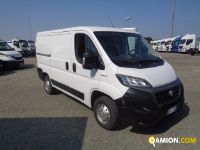 Fiat DUCATO DUCATO | Altro Altro | Iveco Orecchia