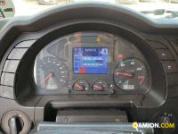 Iveco STRALIS AS440S46T/P STRALIS AS440S46T/P | Altro Altro | Iveco Orecchia