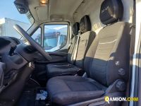 Iveco DAILY 35S16 - 4100 DAILY 35S16 - 4100 | Altro Altro | Iveco Orecchia