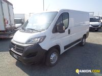 Fiat DUCATO DUCATO | Altro Altro | Iveco Orecchia