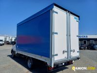 Iveco Daily 35C14 CASSONE C/T + PORTE | Iveco Orecchia