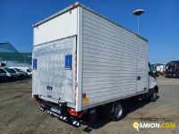 Iveco DAILY 35C14 DAILY 35C14 | Altro Altro | Iveco Orecchia