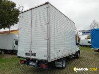Iveco DAILY 35C13 DAILY 35C13 | Altro Altro | Iveco Orecchia
