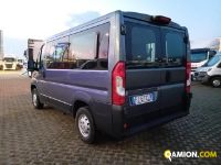 Fiat DUCATO 9 POSTI DUCATO 9 POSTI | Altro Altro | Iveco Orecchia