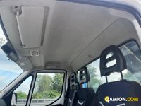 Iveco DAILY 35C12 DAILY 35C12 | Altro Altro | Iveco Orecchia