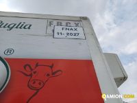 Iveco DAILY 35C14 DAILY 35C14 | Altro Altro | Iveco Orecchia