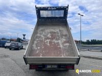 Iveco DAILY 35C12 DAILY 35C12 | Altro Altro | Iveco Orecchia