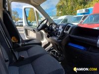 Fiat DUCATO DUCATO Altro | Iveco Orecchia