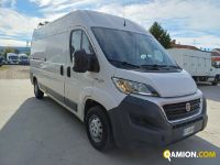 Fiat DUCATO DUCATO Altro | Iveco Orecchia