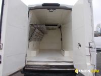 Iveco DAILY daily 35s15 | Altro Altro | Iveco Orecchia