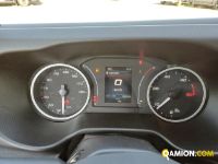 Iveco DAILY 35C14 DAILY 35C14 | Altro Altro | Iveco Orecchia