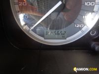 Iveco S-WAY AS440S49T/P S-WAY AS440S49T/P Altro | Iveco Orecchia