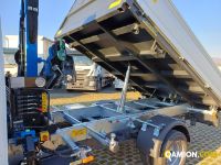 Iveco DAILY 35C14 DAILY 35C14 | Altro Altro | Iveco Orecchia