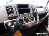 Fiat DUCATO DUCATO Altro | Iveco Orecchia