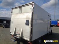 Fiat DUCATO DUCATO | Altro Altro | Iveco Orecchia