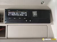 Iveco STRALIS AS440S46T/P STRALIS AS440S46T/P | Altro Altro | Iveco Orecchia