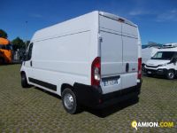 Fiat DUCATO L2H2 DUCATO L2H2 | Altro Altro | Iveco Orecchia