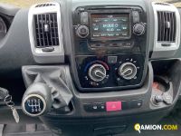 Fiat DUCATO BOX+SPONDA DUCATO BOX+SPONDA | Altro Altro | Iveco Orecchia