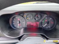 Iveco DAILY 35C13 DAILY 35C13 | Altro Altro | Iveco Orecchia