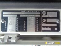 Daf XF460 XF460 | Altro Altro | Iveco Orecchia