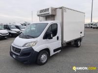 Fiat DUCATO ducato | Leggero Furgone > 35 q.li Isotermico con gruppo frigo | Iveco Orecchia