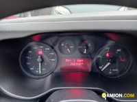 Iveco DAILY 35C15 - 3750 DAILY 35C15 - 3750 | Altro Altro | Iveco Orecchia