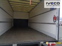 Iveco DAILY 70C18HA8/P DAILY 70C18HA8/P | Altro Altro | Iveco Orecchia