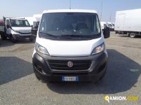 Fiat DUCATO DUCATO | Altro Altro | Iveco Orecchia