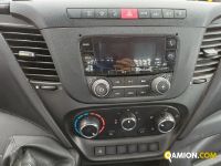 Iveco DAILY 35C14 DAILY 35C14 | Altro Altro | Iveco Orecchia