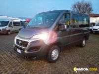 Fiat DUCATO 9 POSTI DUCATO 9 POSTI | Altro Altro | Iveco Orecchia