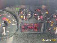 Iveco DAILY 50C15 DAILY 50C15 | Altro Altro | Iveco Orecchia