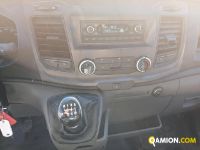 Ford TRANSIT 6+1 TRANSIT 6+1 | Altro Altro | Iveco Orecchia