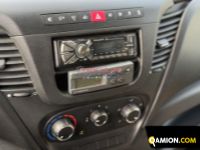 Iveco DAILY 35C12 DAILY 35C12 | EUROCAR2002 S.R.L.S.