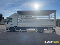 Iveco EUROCARGO eurocargo 120e22 | EUROCAR2002 S.R.L.S.