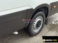Iveco DAILY 35S14 DAILY 35S14 | EUROCAR2002 S.R.L.S.