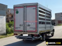 Iveco Daily 35C15 3 0 16V Daily 35C15 3 0 16V | EUROCAR2002 S.R.L.S.