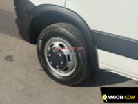 Iveco Daily 50C15 3 0 16V B Daily 50C15 3 0 16V B | EUROCAR2002 S.R.L.S.