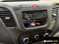 Iveco DAILY 35S14 DAILY 35S14 | EUROCAR2002 S.R.L.S.