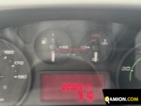 Iveco DAILY 35S15 DAILY 35S15 | EUROCAR2002 S.R.L.S.