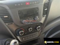 Iveco DAILY 35S14 DAILY 35S14 | EUROCAR2002 S.R.L.S.