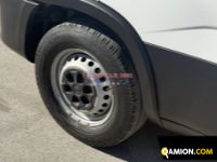 Iveco DAILY 35S14 DAILY 35S14 | EUROCAR2002 S.R.L.S.