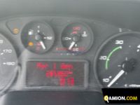 Iveco DAILY 35C13 DAILY 35C13 | Altro Altro | EUROCAR2002 S.R.L.S.