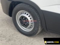 Iveco DAILY 35S15 DAILY 35S15 | EUROCAR2002 S.R.L.S.