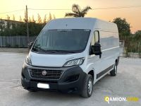 Fiat DUCATO ducato maxi | EUROCAR2002 S.R.L.S.