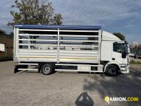 Iveco EUROCARGO eurocargo 120e22 | EUROCAR2002 S.R.L.S.