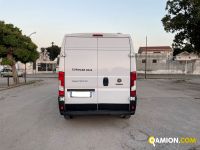 Fiat DUCATO ducato maxi | EUROCAR2002 S.R.L.S.