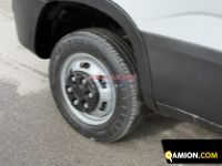 Iveco DAILY 35C12 DAILY 35C12 | EUROCAR2002 S.R.L.S.