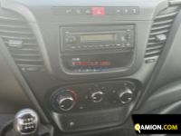 Iveco DAILY 35C13 DAILY 35C13 | Altro Altro | EUROCAR2002 S.R.L.S.