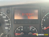 Iveco DAILY daily 35s15 | EUROCAR2002 S.R.L.S.
